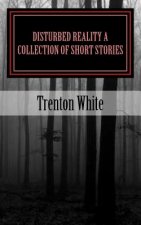 Disturbed Reality A Collection of Short Stories: (Same Story, Bigger Text)