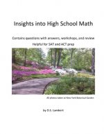 Insights into High School Math: Contains questions with answers, workshops, and review