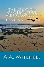 The Creation of a Beautiful Mind Module 2: Lessons 13-24