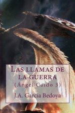 Las llamas de la guerra: (Ángel Caído 3)