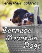 Bernese Mountain Dogs: Grayscale Coloring