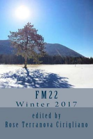 Fm22: Winter 2017