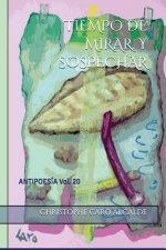 Tiempo de Mirar. Y Sospechar: ANTIPOESÍA Vol. 20
