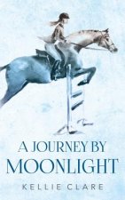 A Journey by Moonlight