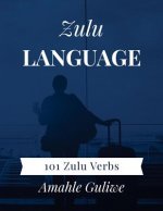 Zulu Language: 101 Zulu Verbs