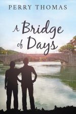 A Bridge of Days