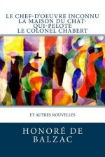 Le Chef-d'oeuvre inconnu, La Maison du Chat-qui-pelote, Le Colonel Chabert: et autres nouvelles