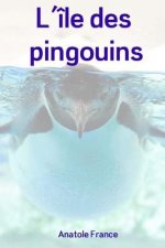 L'île des pingouins