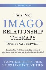 Doing Imago Relationship Therapy in the Space-Between