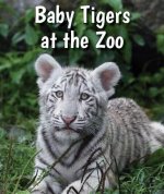 Baby Tigers at the Zoo
