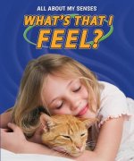 What's That I Feel?