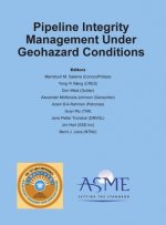 Pipeline Integrity Management Under Geohazard Conditions (PIMG)