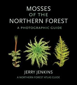 Mosses of the Northern Forest