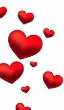 Valentine's red Hearts Creative blank Journal