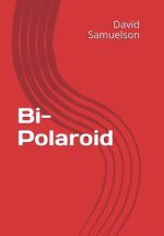 Bi - Polaroid
