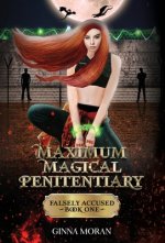 Maximum Magical Penitentiary