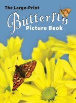 Large-Print Butterfly Picture Book