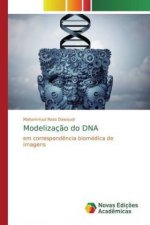 Modelizaç?o do DNA