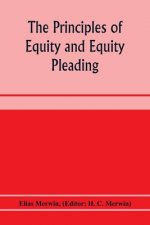 principles of equity and equity pleading