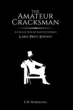 The Amateur Cracksman