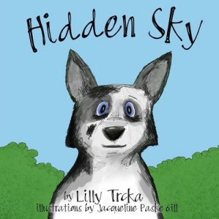 Hidden Sky