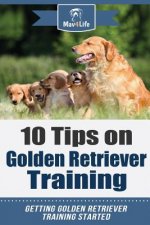 10 Tips on Golden Retriever Training: Getting Golden Retriever Training Started!