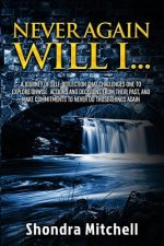 Never Again Will I...: A journey of self-reflection that challenges one to explore unwise actions and decisions from their past, and make com