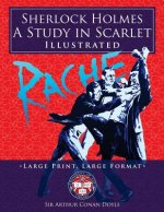 Sherlock Holmes: A Study in Scarlet - Illustrated, Large Print, Large Format: Giant 8.5