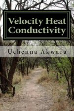 Velocity Heat Conductivity: A Case Study for Two Autonomous Mobile Robots in Energy Workspace