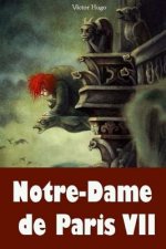 Notre-Dame de Paris VII