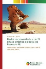 Dados de porosidade e perfil difuso sintetico da bacia de Resende -RJ