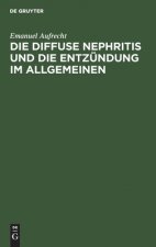 Diffuse Nephritis Und Die Entzundung Im Allgemeinen