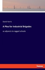 Plea for Industrial Brigades