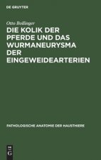 Kolik Der Pferde Und Das Wurmaneurysma Der Eingeweidearterien