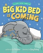 Big Kid Bed is Coming