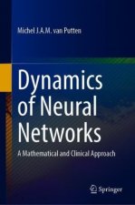 Dynamics of Neural Networks