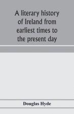 literary history of Ireland from earliest times to the present day