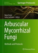 Arbuscular Mycorrhizal Fungi