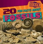 20 Fun Facts about Fossils