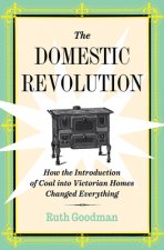THE DOMESTIC REVOLUTION 8211 HOW THE
