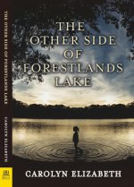 Other Side of Forestlands Lake