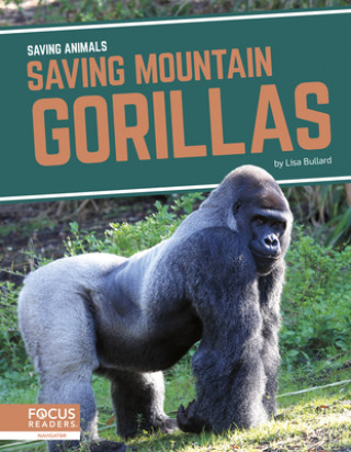 Saving Animals: Saving Mountain Gorillas