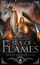 Dawn of Magic: Sea of Flames