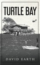 Turtle Bay