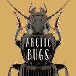 Arctic Bugs