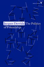 Politics of Friendship
