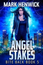 Angel Stakes: An Amber Farrell Novel