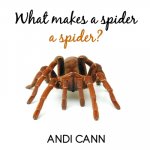 What Makes a Spider a Spider