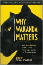 Why Wakanda Matters