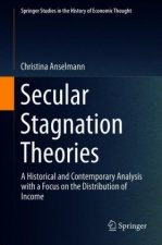 Secular Stagnation Theories